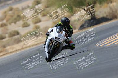 media/May-14-2023-SoCal Trackdays (Sun) [[024eb53b40]]/Turn 5 Tree of Life (1125am)/